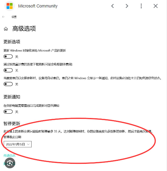 如何在Skype for Windows 10与11中关闭自动更新？